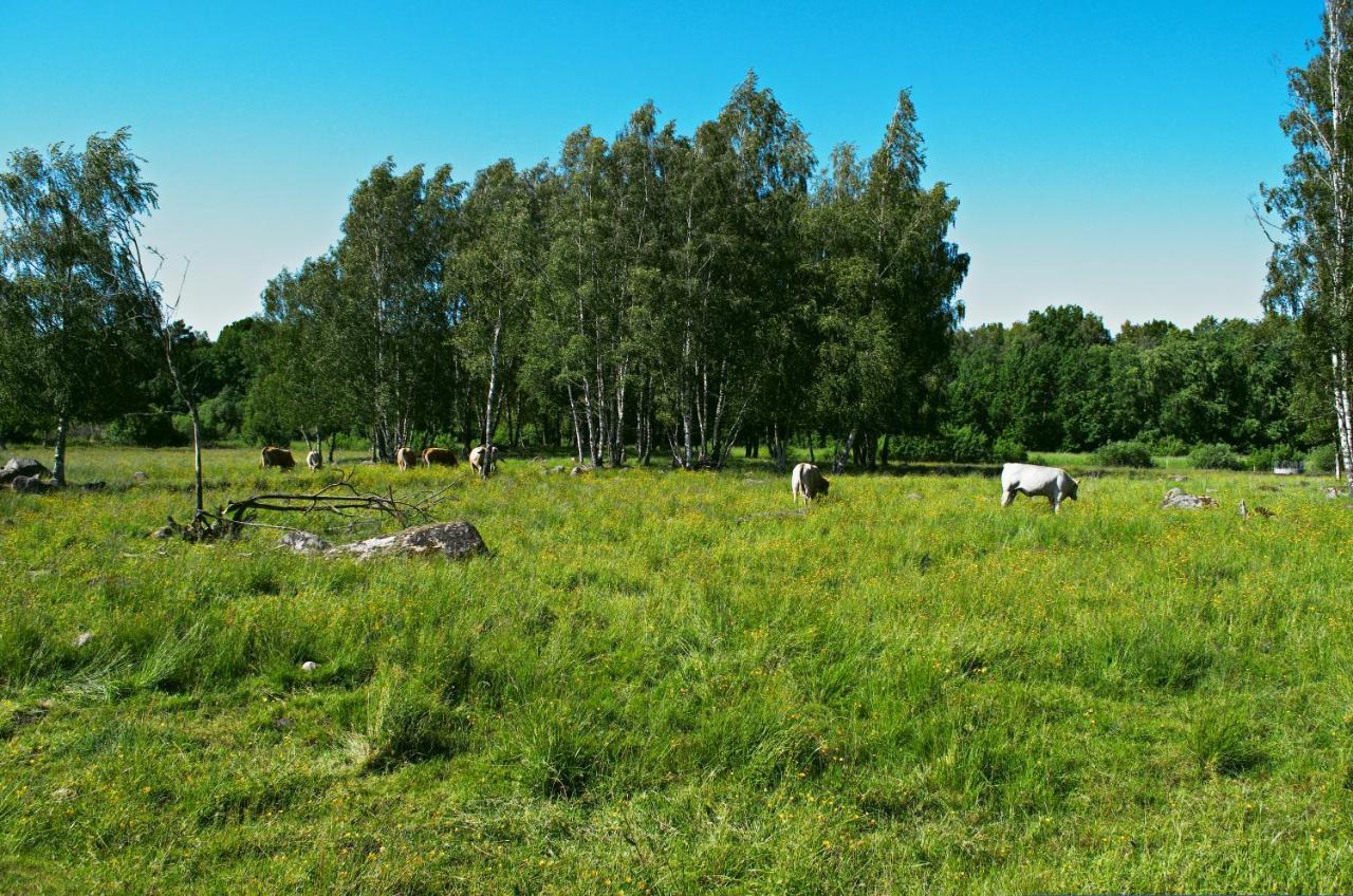 Gaeststugan Скара Экстерьер фото