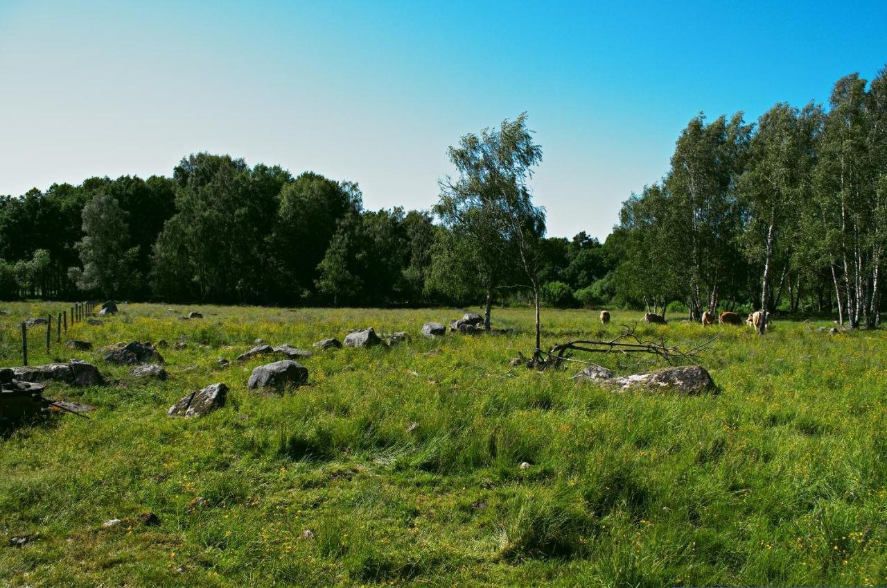 Gaeststugan Скара Экстерьер фото