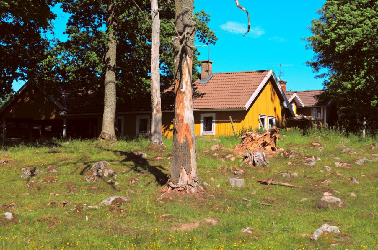 Gaeststugan Скара Экстерьер фото